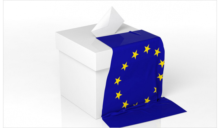 Voľby do Európskeho parlamentu 25.5.2019 - informácia o podmienkach práva voliť a práva byť volený